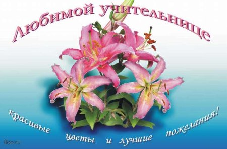 Поздравления с днём рождения учитюлю