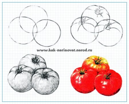 Поэтапное рисование овощей