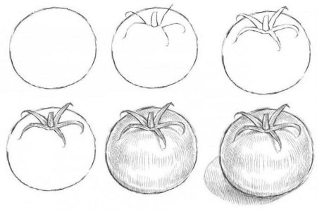 Поэтапное рисование помидора