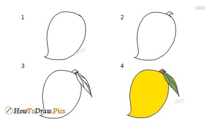 Поэтапное рисование манго