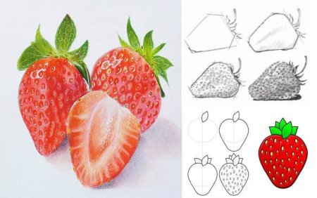 Фрукты для рисования
