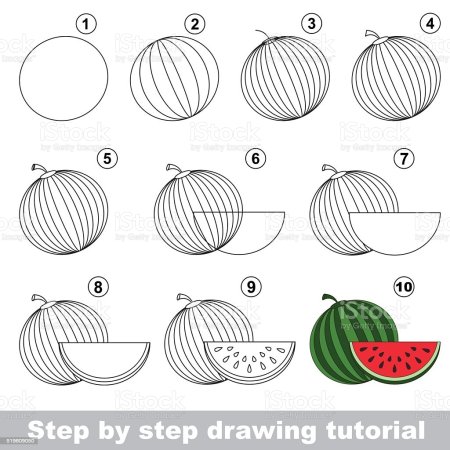 Пошаговое рисование арбуза