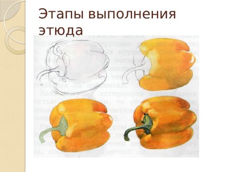 Овощи акварелью для начинающих