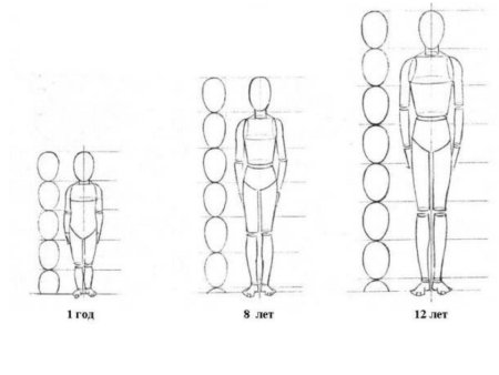 Как нарисовать мишку