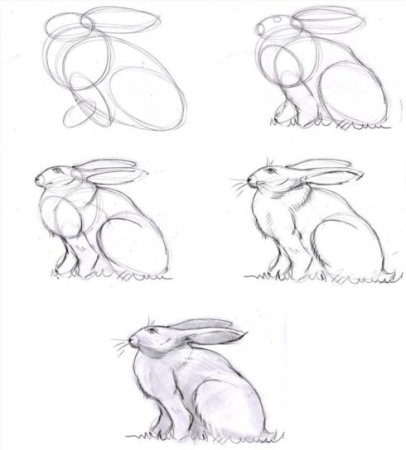 Поэтапное рисование кролика