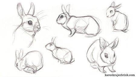 Кролик набросок