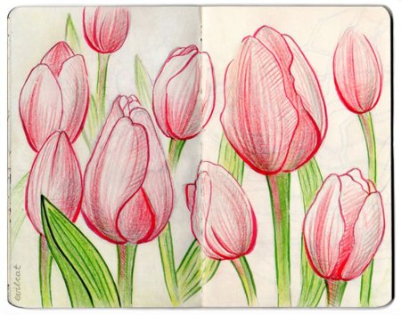 Вишня акварелью для начинающих