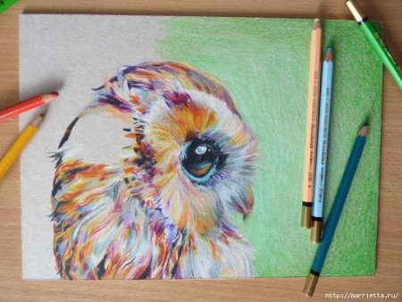 Поэтапное рисование цветов