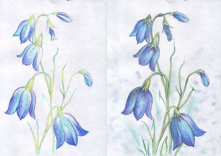 Рисование цветными карандашами для детей