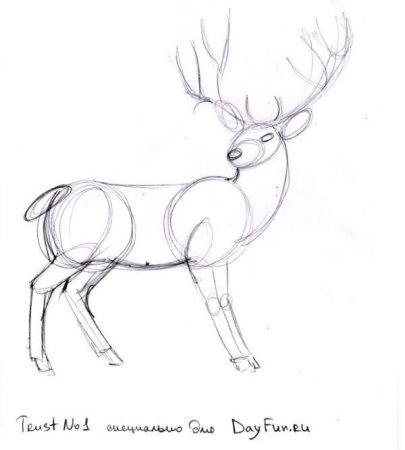 Рисунок оленя для срисовки