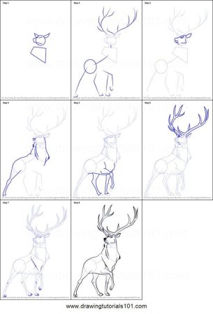 Поэтапный рисунок оленя