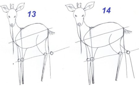 Олень рисунок поэтапно