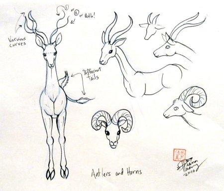 Пошаговое рисование оленя