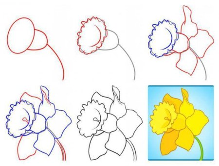 Рисование цветов