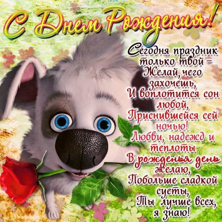 Дорогая моя сестренка