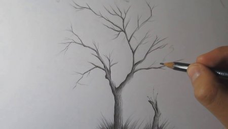 Поэтапное рисование осеннего дерева