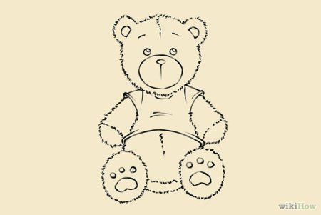 Мишка рисунок карандашом