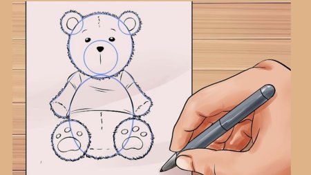 Как нарисовать мишку