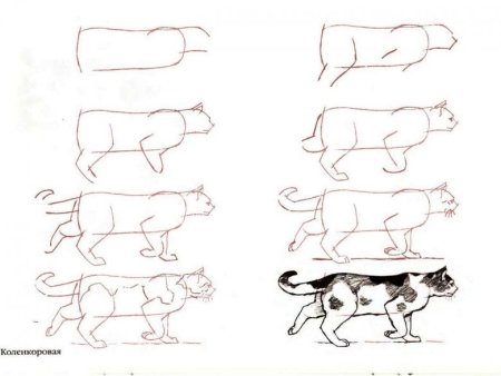 Рисунок котенка поэтапно