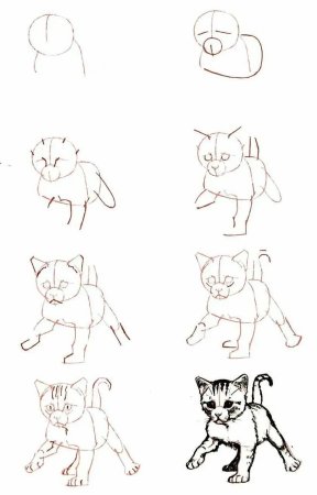 Этапы рисования кошки