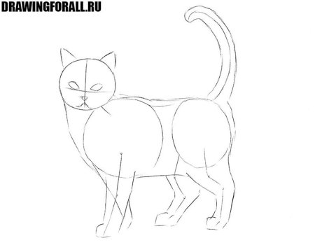 Рисунок кошки поэтапно