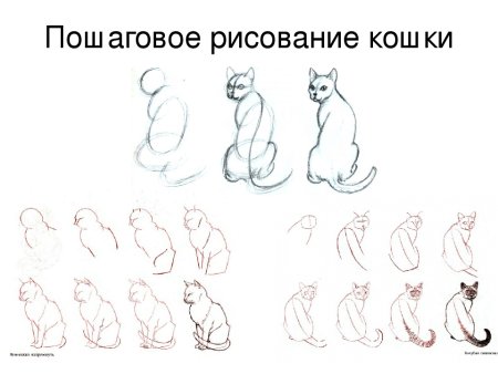 Схема рисования кошки