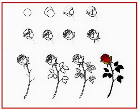 Поэтапное рисование цветов карандашом