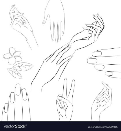 Пошаговое рисование дерева