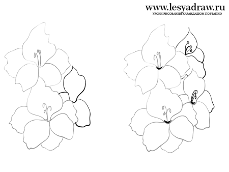 Уроки рисования лошади