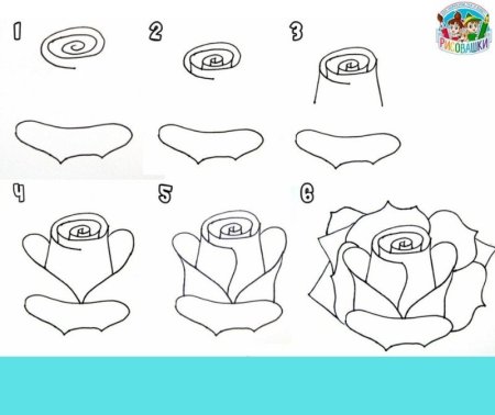 Роза пошагово для начинающих