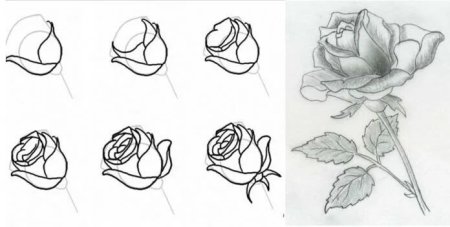 Роза туториал