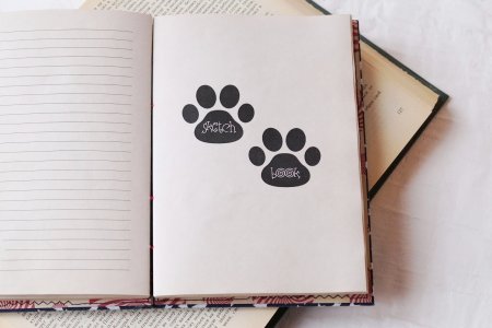 Красивые рисунки для блокнота