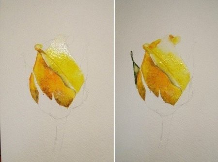 Этапы рисования акварелью