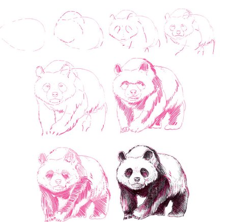 Поэтапное рисование панды