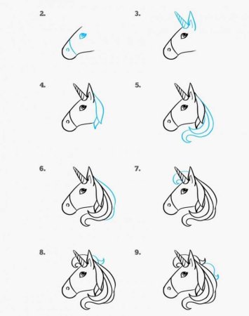 Поэтапное рисование единорога