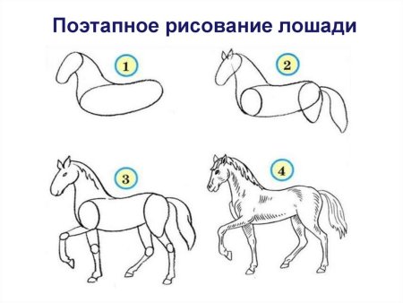 Этапы рисования коня для детей