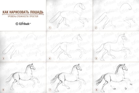 Картинки для срисовки поэтапно