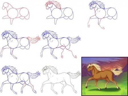 Поэтапный рисунок лошади