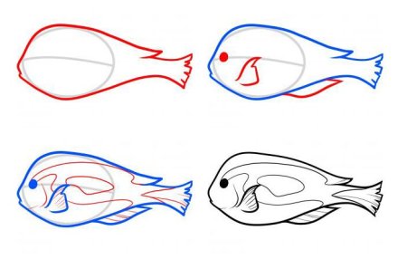 Поэтапное рисование рыбки