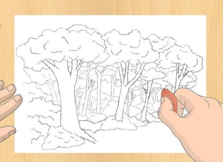 Поэтапное рисование дерева