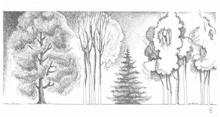 Поэтапное рисование лесных деревьев