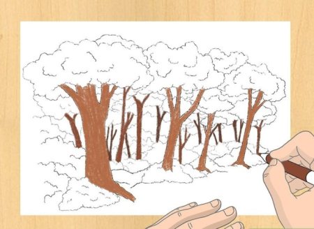 Мастер-класс «Учимся рисовать деревья»