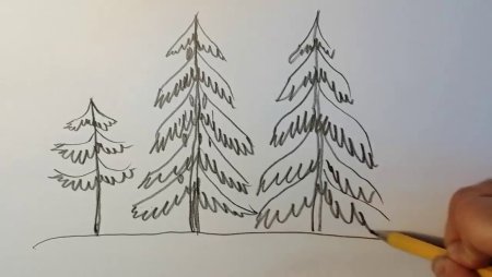 Рисование березы