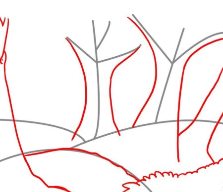 Поэтапное рисование осеннего леса