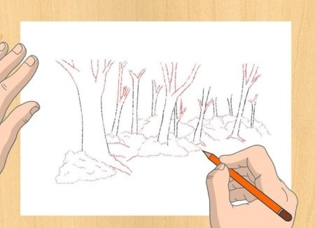 Этапы рисования дерева