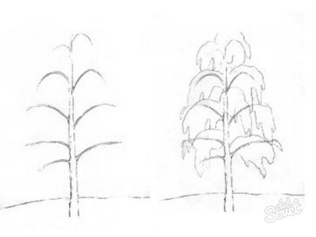 Этапы рисования дерева для детей