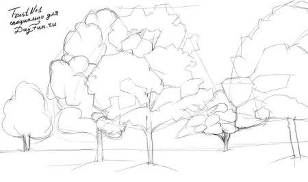 Рисование сюжетного рисунка