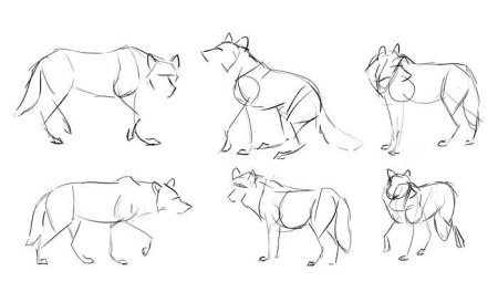 Наброски животных карандашом для начинающих