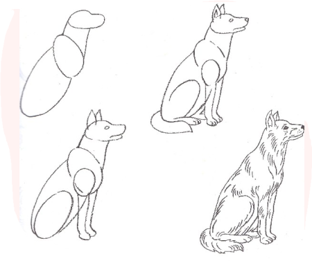 Схема как рисовать волка