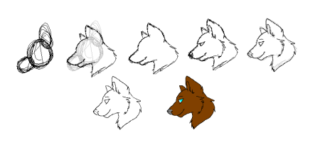 Как нарисовать волка поэтапно